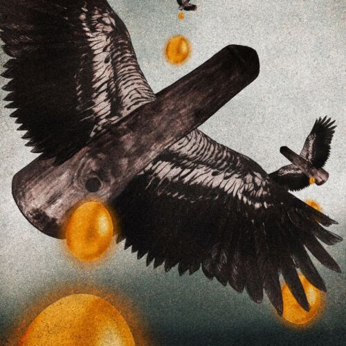 Birds vs turbines, egg smugglers and an ancient inn 
