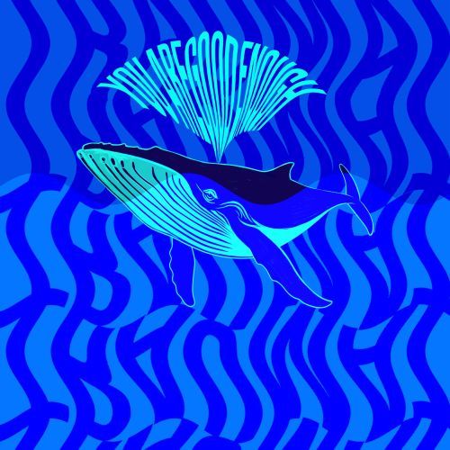 The Darién Gap, Inherited Stress and Helping Whales