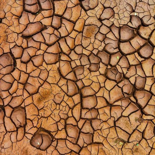 Sporny atol, Palestine Action i Marajó