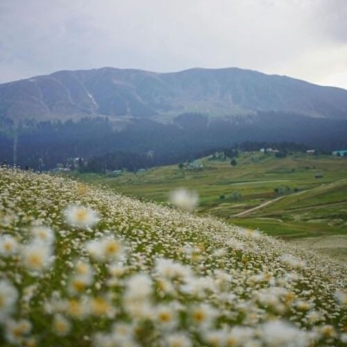 Cieśnina Malakka, Sierra Nevada i CPEC