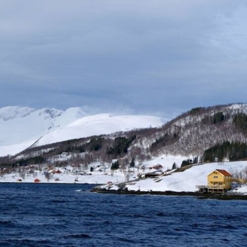 „Coolcation”, karaluchy i metionina