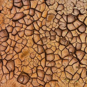 Sporny atol, Palestine Action i Marajó