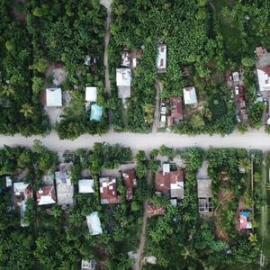 Mapy poznawcze, Wegovy i chikungunya