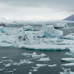 Falepili Union, chińska moda i guma arabska